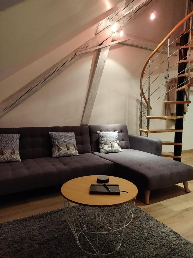 Le Business, Duplex Moderne Special Pro De Passage Apartment แซร์กูมีนส์ ภายนอก รูปภาพ