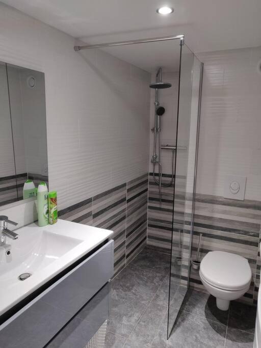 Le Business, Duplex Moderne Special Pro De Passage Apartment แซร์กูมีนส์ ภายนอก รูปภาพ